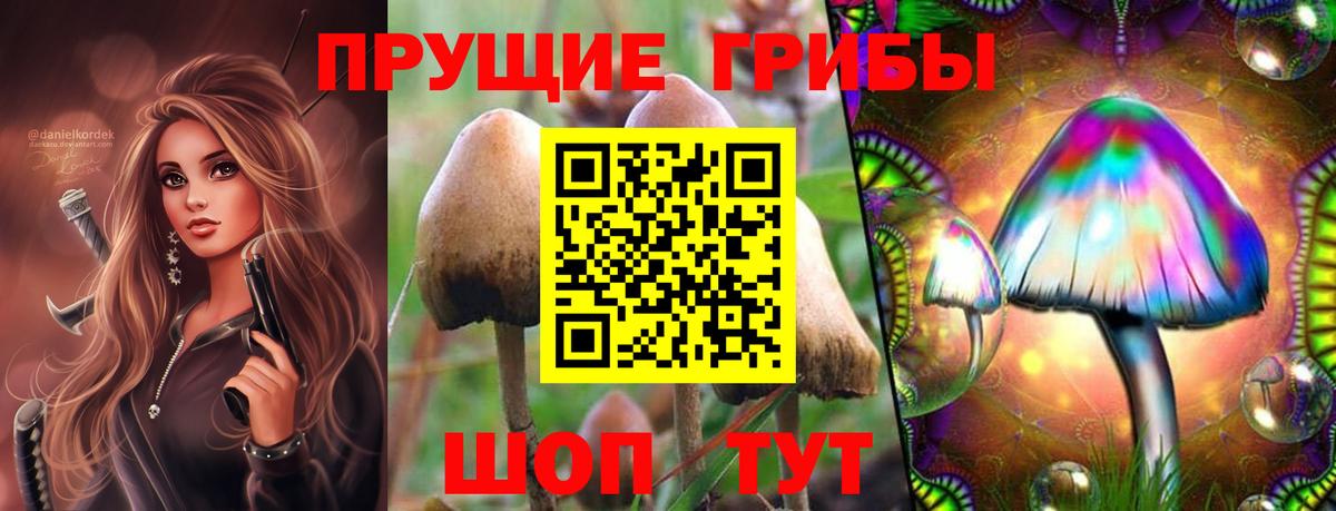 Псилоцибиновые грибы прущие грибы Сафоново